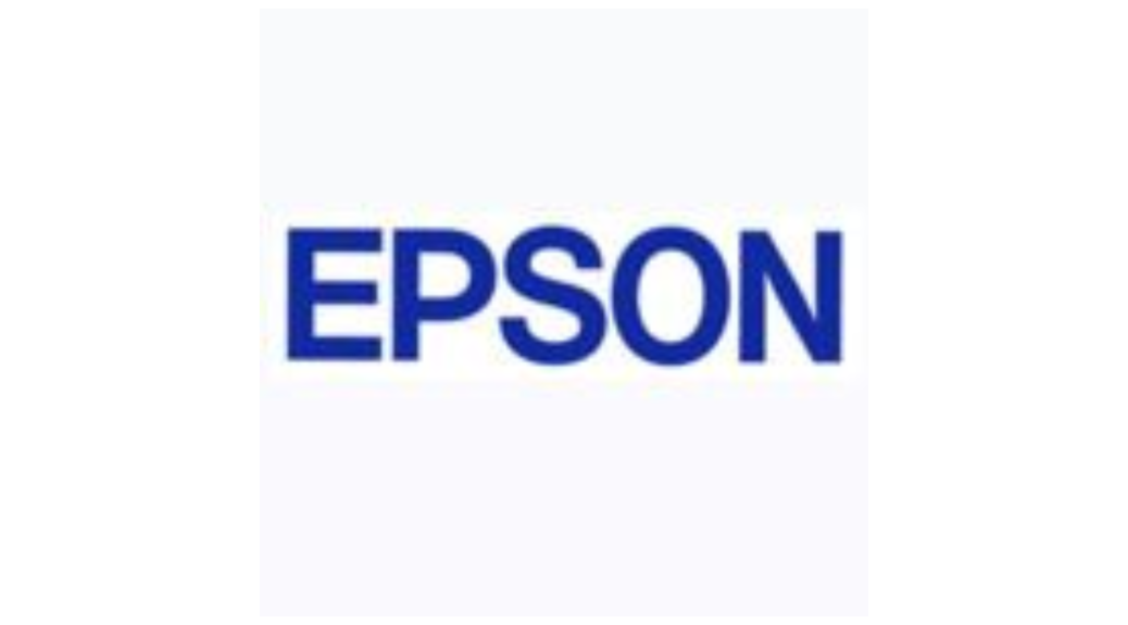 PT Epson